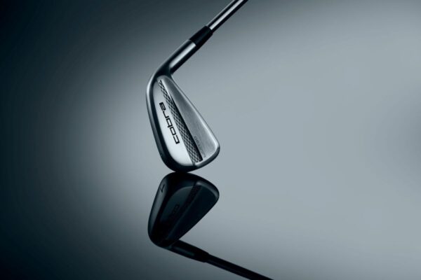 Read more about the article Cobra LIMIT3D Iron Review